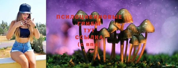каннабис Заводоуковск