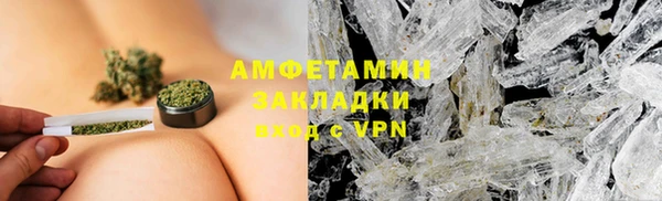 прущие грибы Заволжск