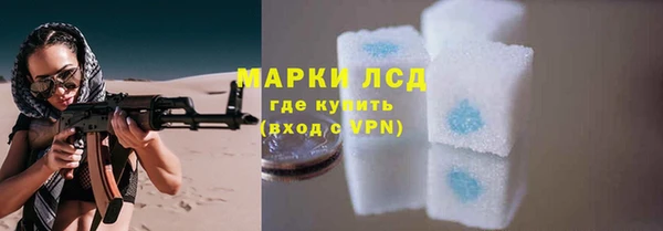 прущие грибы Заволжск