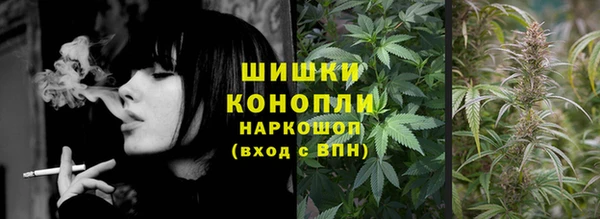 прущие грибы Заволжск