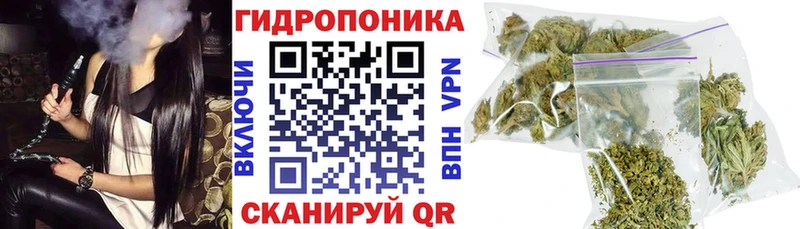 наркошоп  Исилькуль  Бошки Шишки план 